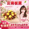 Castañas de Yunnan Seleccionadas Cuidadosamente Envío Directo 1 Jin Fruta Extra Grande Diámetro 2.6-2.8cm Castaña Frutos Secos Frescos