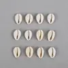 Concha do Mar com Topo Cortado, Concha Amarela, Concha de Caracol Marinho para Decoração de Aquário, Acessórios DIY, Joias, Pingentes Artesanais, Colecionáveis