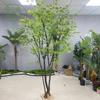 Árbol de Madera Bebida Verde Rojo Arce Simulado Personalizado Estilo Ins Decoración Interior Grande Árbol Artificial Piso de Sala de Estar Paisajismo Plantas Verdes