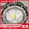 Dgc18/127L Luz para Túnel Minero Volumen Pequeño Luz Antiexplosiva para Mina de Carbón Luz LED Antiexplosiva para Túnel Minero