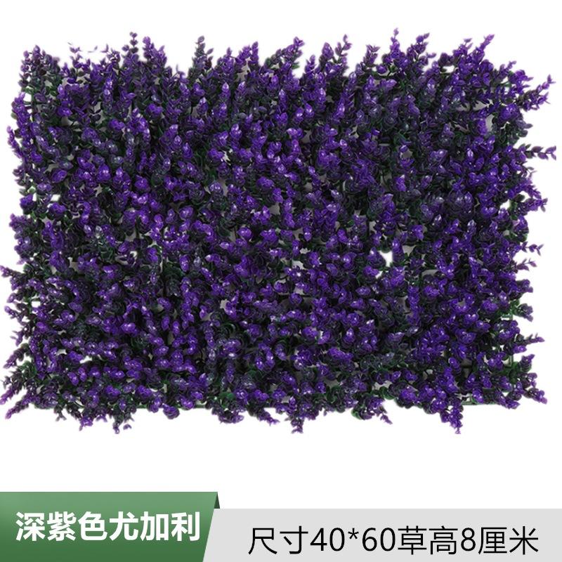 深紫色尤加利.jpg