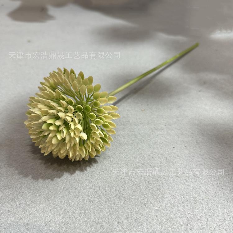 微信图片_2023022416491410_副本