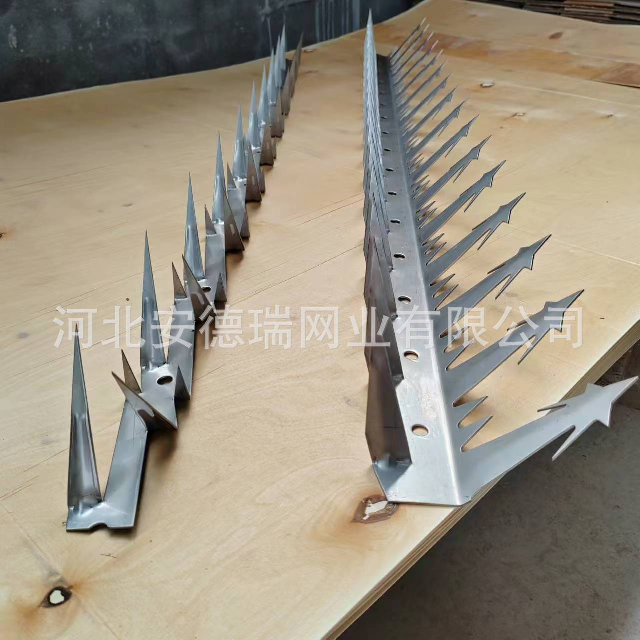 微信图片_20240829123053.jpg
