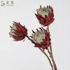 Venda Direta da Fábrica de Galhos Grandes Simulados de Flores Imperiais para Decoração de Casa, Flores Artificiais para Decoração Suave, Arranjos Florais, Decoração de Casa Nórdica