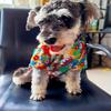 Roupa de Cachorro Verão Respirável Fina Bulldog Francês Schnauzer Bichon Teddy Shiba Inu Praia Animal de Estimação Gato Pijama Camiseta