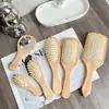 Peine Masajeador Especial para Cabello Largo y Rizado de Mujer, Peine Suavizante con Bolsa de Aire, Portátil para el Hogar, Venta al por Mayor