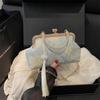 Nuevo Bolso de Mano Simple Casual de Moda de Un Solo Hombro Cadena de Moda Nicho Primavera 2025 Crossbody Concha Bolso de Mujer