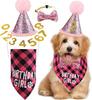 Conjunto de aniversário para pet cachecol chapéu bandeira banner conjunto digital adereços para festa de pet