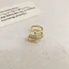 Exquisitos Pendientes de Serpiente Micro-pavimentados con Circonita para Mujer, Clips para Hélice de Oreja con Diseño Personalizado, Elegantes Versátiles de Nicho, Pendientes sin Perforación