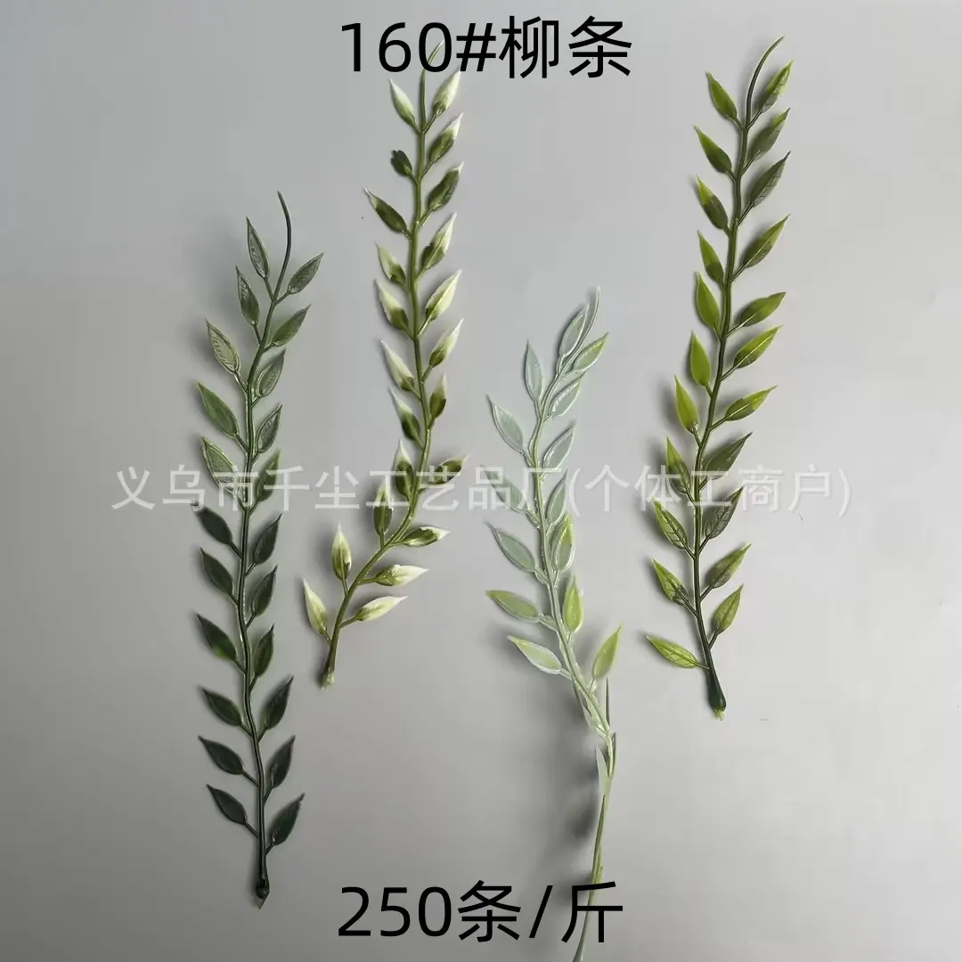 160#柳条.jpg