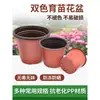Pote Espessado de Duas Cores Vaso para Mudas Vaso de Plástico Descartável para Plantio de Suculentas Tamanho Grande Copo Nutritivo Vaso para Mudas Vaso de Flores Simples