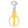 Tijeras para huevos de codorniz tijeras de acero inoxidable cortador de huevos tijeras para abrir cáscara de huevo de ave separador para abrir cáscara de huevo tijeras de cocina