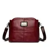 Bolso de Mujer 2025 Nuevo Estilo Bolso de Mamá Estilo Coreano Bolso de Hombro Único Cruzado Elegante Bolso para Suegra de Moda Bolso Cuadrado Pequeño con Empalme