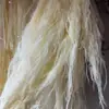 Hierba Barba de Dragón Eterna, Hierba de Junco, Flores Reales, Venta al por Mayor Fabricante de Yunnan, Serie Fuegos Artificiales de Ensueño, Materiales Florales para Cortinas de Boda, Decoración Suave