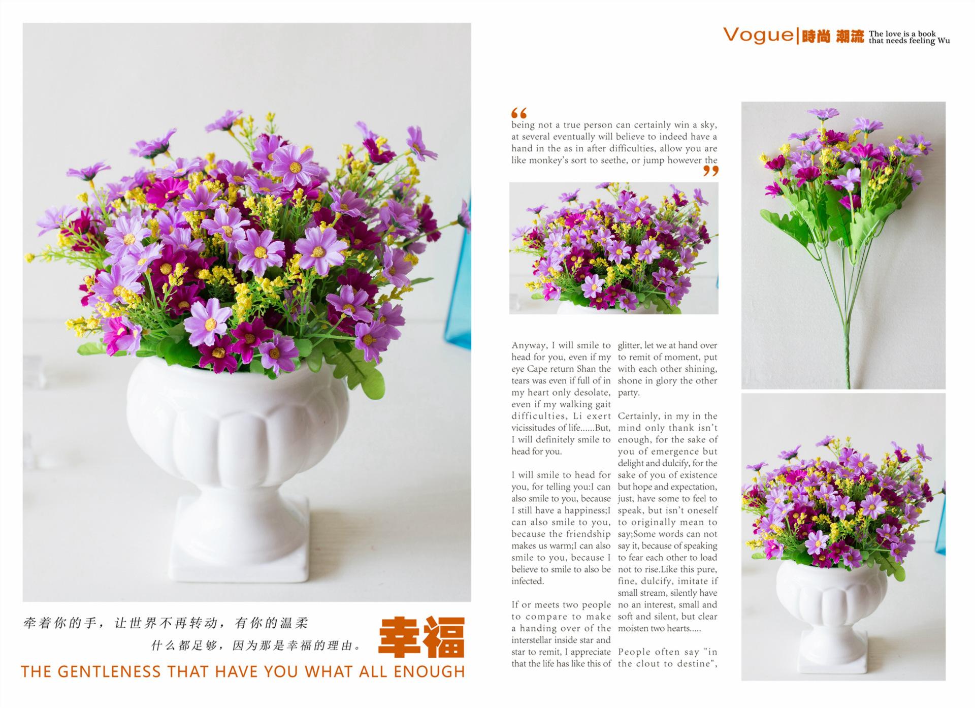 28头跳兰菊