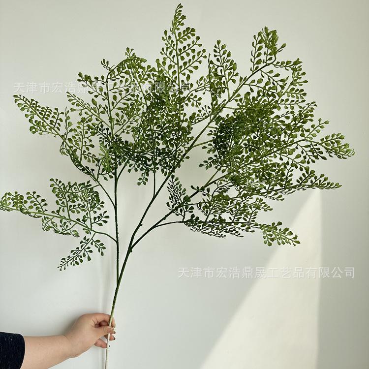 微信图片_2023040214504524_副本