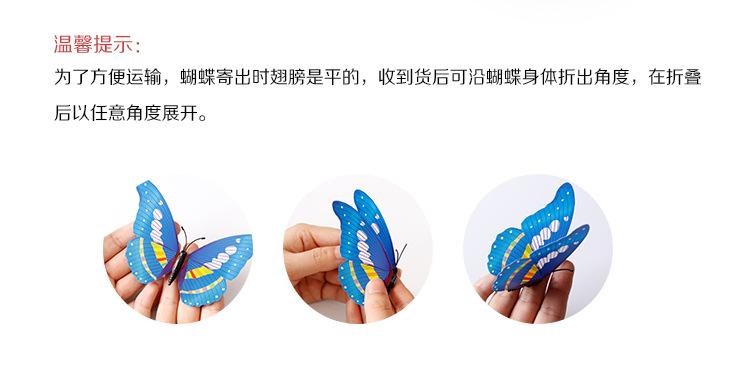PT16公分-详情_02.jpg