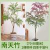 Dropshipping Flame Nandina Plantones en Maceta Sala de Estar Plantas Verdes Patio Exterior Plantas de Suelo Plántulas Grandes de Bambú