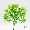 Plástico Pequeno Cabo Pacote Folha da Fortuna Atacado Flor Artificial Simulação Flor Falsa Planta Verde Paisagismo Engenharia Paisagismo Parede de Plantas Cenário