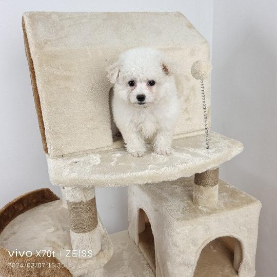 impicture_7478333a937bd5fda0b5