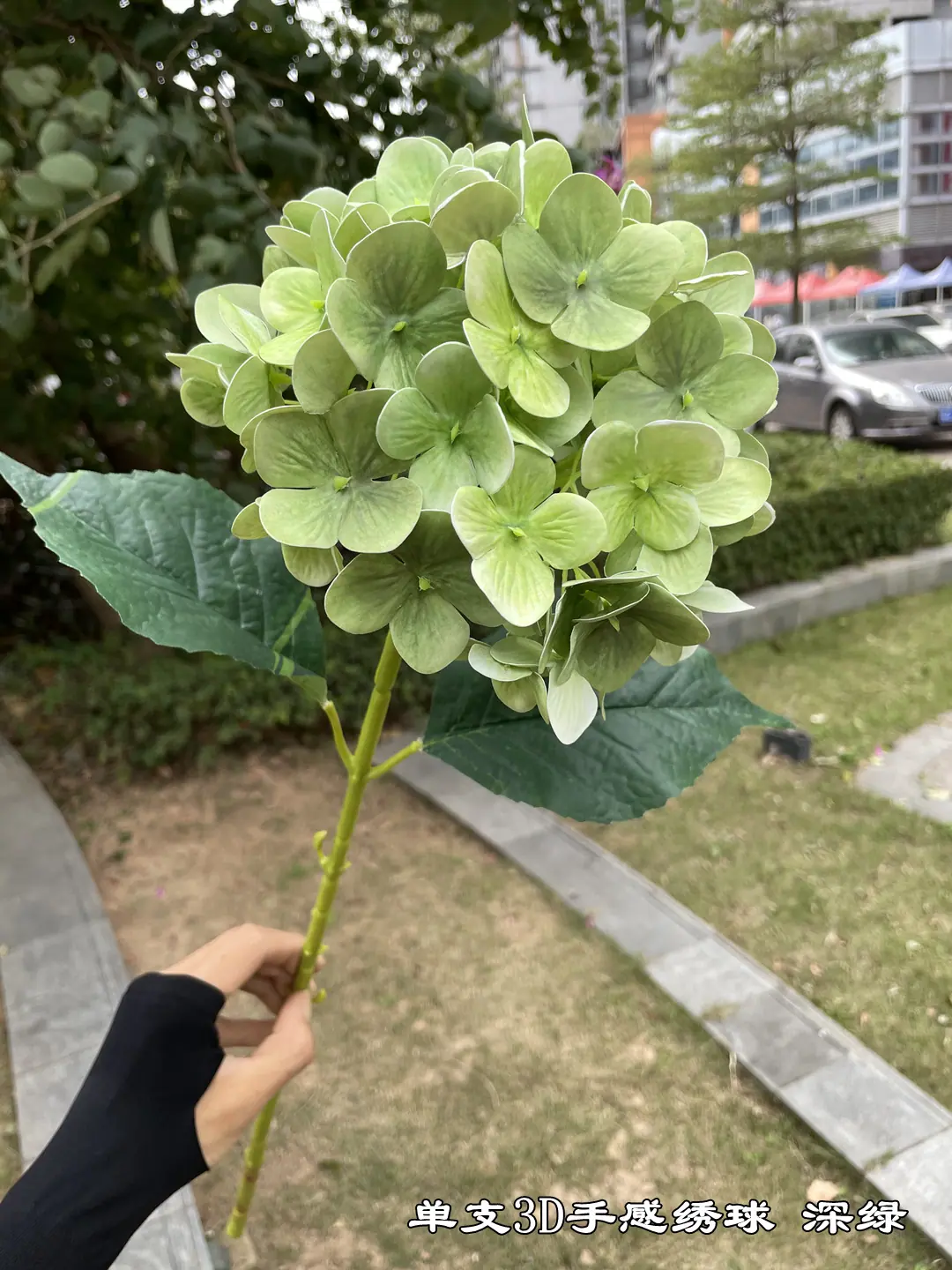 微信图片_20211117143922.jpg