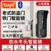 Transfronterizo Chino Inglés Bilingüe Antiguo Antirrobo Puerta Huella Dactilar Cerradura Cabeza de Toro Cerradura Puerta Hierro Grande Cerradura Inteligente Contraseña Exterior Impermeable