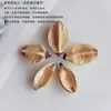 Flor de Caracola de Lirio Corazón Cáscaras de Frutas Vegetales Naturales Semillas de Frutas Fruta Seca Hecha a Mano Marco de Fotos de Especímenes Vegetales
