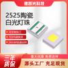 2525 Perlas de Luz Plana Alta Potencia Luz Blanca Cerámica Alto Brillo 3W Fuente de Luz Automotriz 2525 Chip LED Luz Blanca Venta al por Mayor