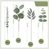 Eucalipto Artificial Galho Único com Frutos, Folhas de Dinheiro de Galho Curto, Ornamentos para Arranjo de Flores de Decoração de Casa, Plantas Verdes Atacado