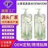 Champú de Aminoácidos de Camelia Personalizado OEM Anticaspa Anti-Picazón Voluminoso y Suave Mejora el Frizz Procesamiento OEM