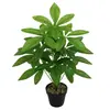 Plantas Verdes Artificiales, Árbol del Dinero, Hojas de la Fortuna, Flores Falsas para Sala de Estar, Hotel, Hogar, Restaurante, Plantas en Maceta Hojas de la Fortuna, Venta al por Mayor desde el Fabricante