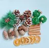 Fruta Fixa Natural Planta Fruta Casca Espécime Material Decoração Flores Secas Fatias Jardim de Infância DIY Pacote de Material de Natal