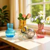 Jarrón de Vidrio de Colores de Boca Ancha Estilo Ins, Jarrón Ornamentado de Escritorio de Lujo Ligero para Sala de Estar Retro, Jarrón Transparente Hidropónico
