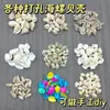 Conchas Perforadas, Caracolas, Caracoles de Mijo, Materiales para Accesorios Hechos a Mano, Venta al por Mayor por Libra, Conchas de Colores, Caracoles de Arroz Blanco