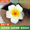 Estilo Étnico do Sudeste Asiático Modelo Grampo de Cabelo Frangipani Clipe de Flor Estilo Boêmio Acessório de Cabeça para Foto de Praia