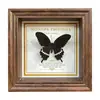 Marco de Fotos con Foto de Mariposa Real Pintura Decorativa Estilo Europeo Marco de Fotos Vintage Decoración de Mesa Adorno para Muebles Regalo de Cumpleaños Presente