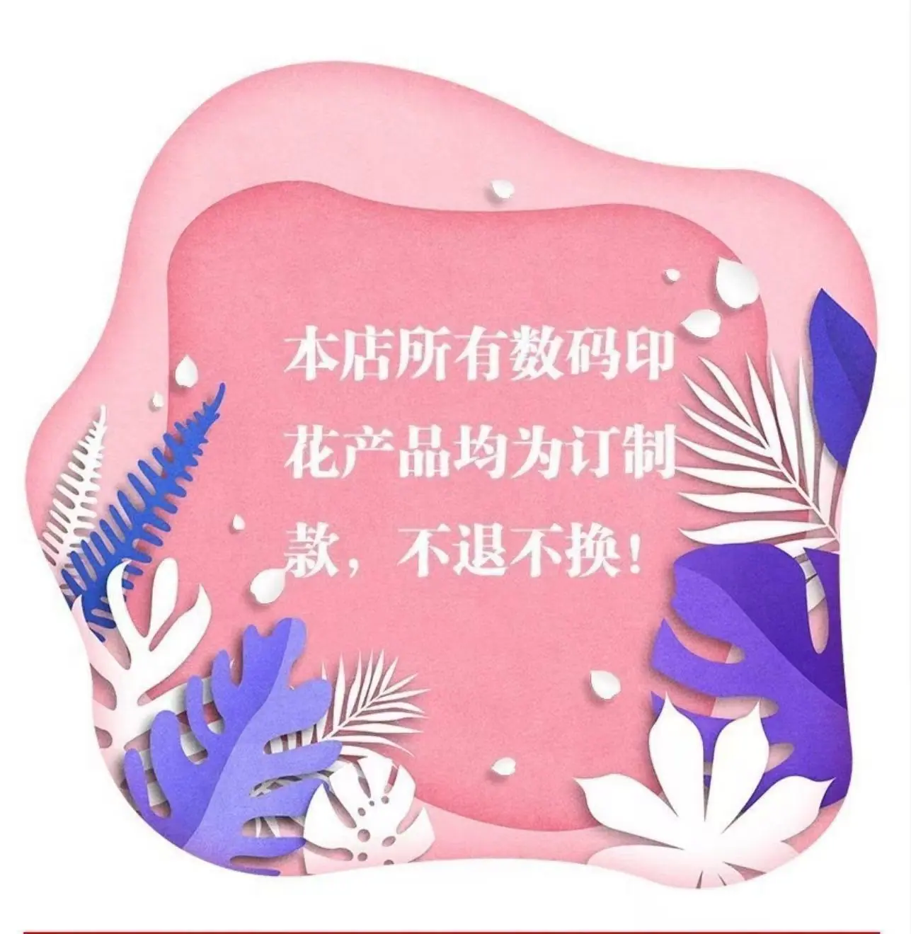 图片_20241229002353