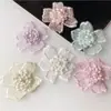 Frete Grátis Novo Botão de Flor Fofo Acessórios para Vestuário DIY Artesanal Renda Decorativa Adesivos de Tecido Roupas Chapéus Acessórios Flores Tridimensionais