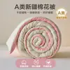 Colcha original de algodão de Xinjiang, qualidade de grau A para maternidade e infantil, para uso doméstico e em dormitórios, adequada para todas as estações, colcha de primavera/outono, colcha de inverno, disponível para atacado online