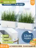 Maceta Rectangular Estrecha para Balcón, Repisa de Ventana, Maceta Estrecha para Cultivo de Verduras, Maceta Suculenta para Jardinería Casera, Maceta de Autoriego para Cebollas