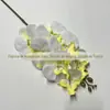 Orquídea Borboleta Artificial Pequena de 7 Cabeças, Material de Flor Decorativa Estilo Europeu, Cores de Outono, Flores Artificiais Atacado para Casamento e Hotel