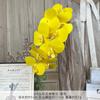 9 Piezas de Película Phalaenopsis Flores Artificiales Simuladas Flores de Seda Auditorio de Bodas Fila de Flores Decoración Floral Adornos de Sala de Estar de Alta Gama