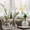 Jarrón Pequeño de Vidrio con Boca Estrecha, Arreglo Floral Transparente Creativo Estilo Nórdico, Decoración de Flores Secas, Adorno para Mesa de Comedor Estilo Ins