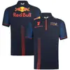 2026 Novo Produto Camiseta Uniforme Equipe F1 Camisa de Ciclismo de Corrida Camisa Polo de Manga Curta Masculina Secagem Rápida Verão Trabalho Roupa de Carro 2