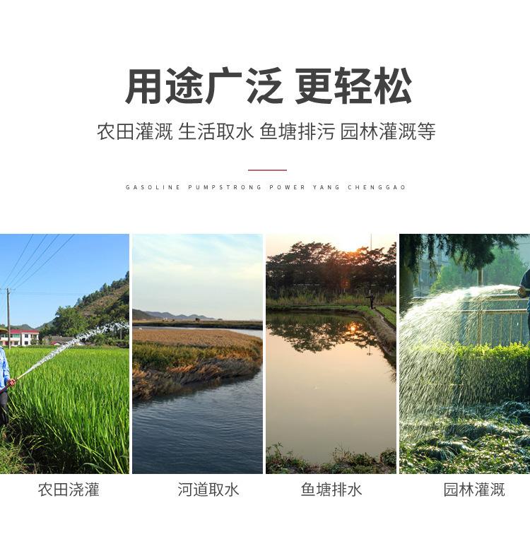 详情图片_39.jpg