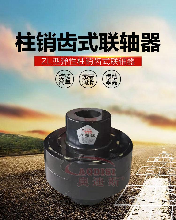 精密柱销联轴器详情页_01.jpg