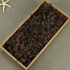 Flor Mágica Flor Eterna AB Anna Hortênsia 100g Aniversário Real Flor Diy Material Flor Seca Decoração Namorada Presente