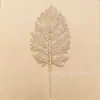 P Navidad simulación polvo dorado raíces de árbol hojas esquejes de árbol de Navidad adornos accesorios decorativos DIY simulación exquisito