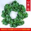 Artesanato Rattan Simulação Folha de Uva Videira Decorativo Folha Verde Videira Flor Artificial Videira Flor de Plástico Videira Planta Verde Folha Verde