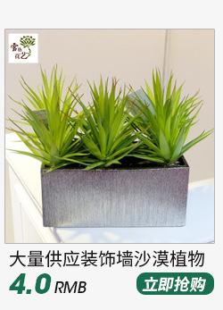 多肉植物_04.jpg